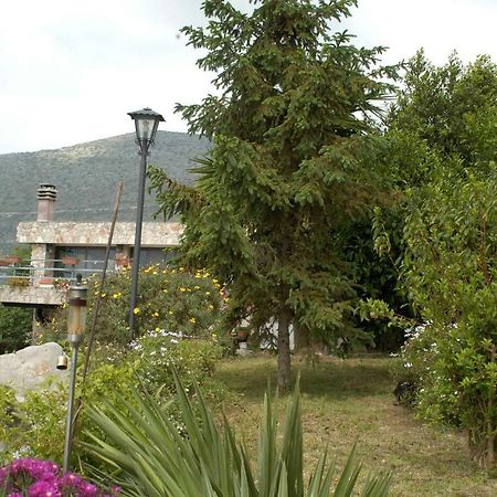 B&B La Vecchia Scuola Sonnino Exterior photo